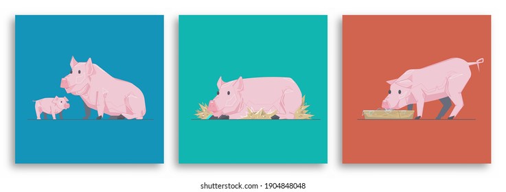 Trendy vector illustration with geometric inserts. set cartoon flat pig. Easy modern illustration for your projects and products. 