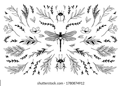 Trendy vector insects and floral branches line drawings. Black silhouette elements. Wild leaves and greenery illustrations. Bugs and dragonfly. Perfect for your brand, logo, card, invitation, poster