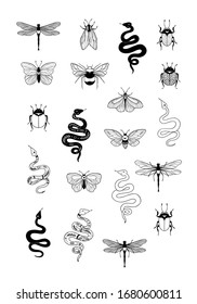 Trendy vector insects and snakes drawings in linear style. Black work elements.  Ornamental snake, moth, bumblebee, bee, bug, butterfly. Line illustrations. Perfect for your brand, logo, tattoo, card