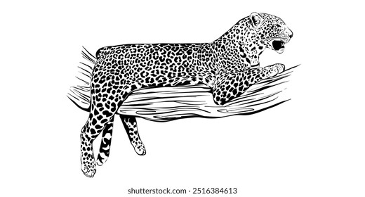 Trendy Vetor leopardo ilustração, preto e branco desenho animal, gato selvagem na natureza, arte da vida selvagem, leopardo deitado arte da linha, felino desenhado à mão, animais de safári, cartaz da natureza design gráfico detalhado