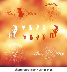 Trendy vector logos. Fox.