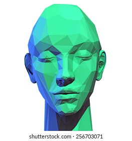 Trendy Vector Low Poly  Style Human Head. 3D Concept