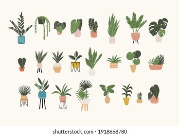 Vector de moda imprime plantas en forma plana. El estilo moderno es perfecto para la decoración. Plantas domésticas vectoriales de Boho 