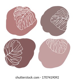 Formas vectoriales de moda en un estilo minimalista de flores antiguas. Plantilla de diseño de instagram simple y elegante. Formas abstractas modernas. Estilo escandinavo, minimalismo. Líneas de plantas.