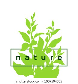 Trendy vector silhouette of tea bush with flower, leaf Botanical realistic drawing Shape art design Realistic nature green floral illustration in frame on white background Organic drink Eco print Text