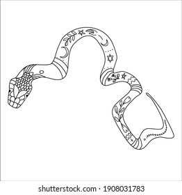 Trendy vector snake drawing in linear style with floral ornament. Black work tattoo. Linear illustration. Perfect for your brand, logotype, tattoo, card, invitation, poster, print