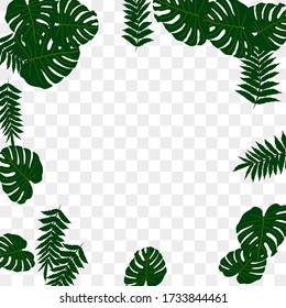 Trendy vector tropical pattern, great design for any purposes. Beautiful spring garden. Tropical backdrop. Summer green garden. Summer tropical leaf. Holiday decoration.