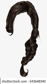 trendy women hairs  pigtail . braid plait .  fashion beauty style . realistic  3d .