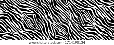 Foto Bild Zebrastreifen