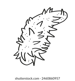 Trepang Sea cucumber hand drawn ink sketch on isolated white background. Vector seafood illustration line art style. 
Design element for logo, menu, print, paper, card, label. Marine animals, food 