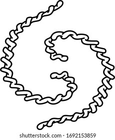 Bacterias del Treponema. Icono de contorno del vector.