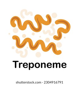 Treponeme. Microorganisms. Medicine and health. Cartoon. Microbiota. Microbiome. Vector stock illustration. Isolated.Bacteria in the body. Bifidobacteria.