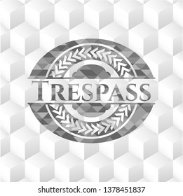 Trespass realistic grey emblem with cube white background