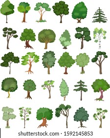 Tress set vector. Different trees illustration. 