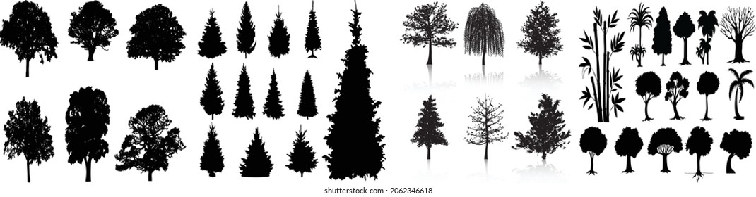 Tress set vector. Different trees illustration. Normal Tress for environment