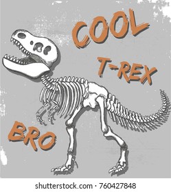 t-rex dinosaur skeleton illustration, vector