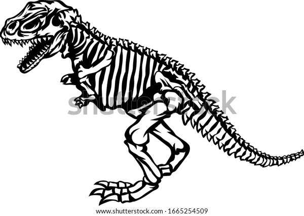 Trex Dinosaur Skeleton Illustration Vector Stock Vector (Royalty Free ...