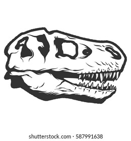 t-rex dinosaur skull isolated on white background. Images for logo, label, emblem. Vector illustration.