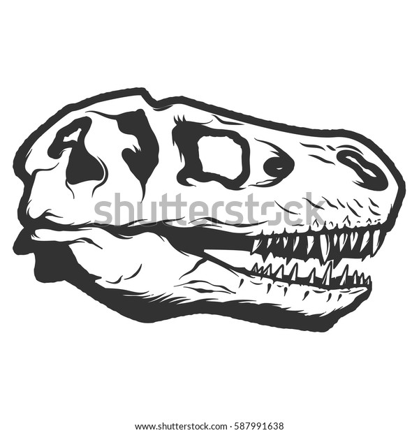 Trex Dinosaur Skull Isolated On White Stock Vector (Royalty Free) 587991638