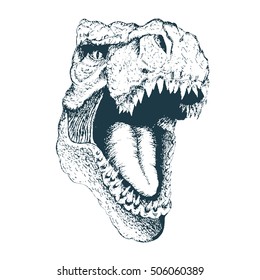 T-rex head. Detailed hand drawn style. Isolated on white background