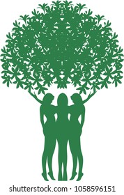 Trhee women tree
