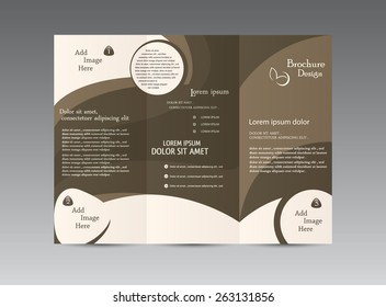 Tri Fold Brochure