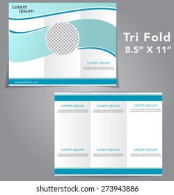 Tri Fold Brochure Vector Design