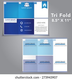 Tri Fold Brochure Vector Design