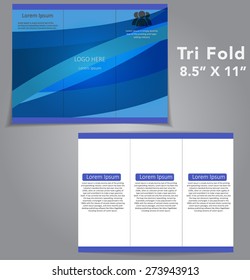 Tri Fold Brochure Vector Design