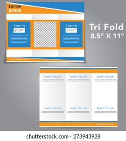 Tri Fold Brochure Vector Design