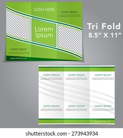Tri Fold Brochure Vector Design