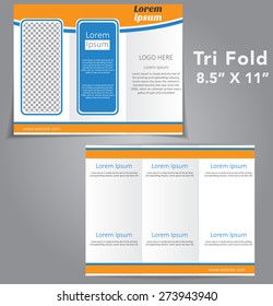 Tri Fold Brochure Vector Design