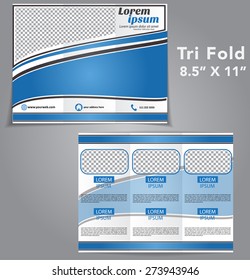 Tri Fold Brochure Vector Design