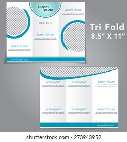 Tri Fold Brochure Vector Design