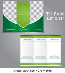 Tri Fold Brochure Vector Design