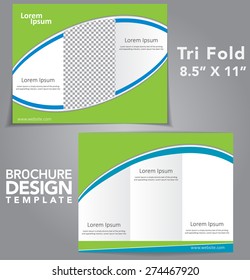 Tri Fold Brochure Vector Design