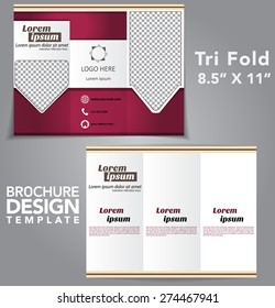 Tri Fold Brochure Vector Design