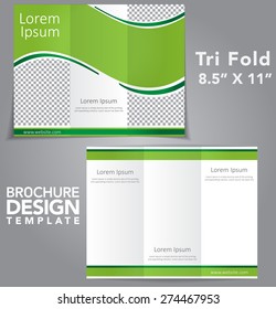 Tri Fold Brochure Vector Design