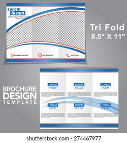 Tri Fold Brochure Vector Design