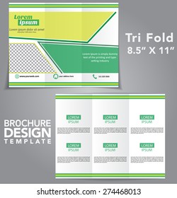 Tri Fold Brochure Vector Design