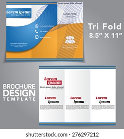 Tri Fold Brochure Vector Design