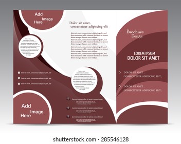 Tri Fold Modern Brochure