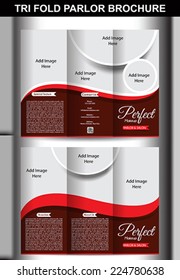 tri fold parlor brochure template vector illustration 
