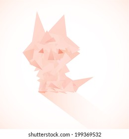 triangle cat