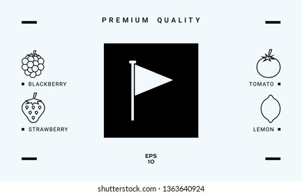 Triangle flag icon. Graphic elements for your design
