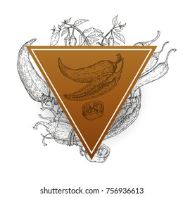 Triangle frame with chili peppers in retro hand drawn, sketches, engraved style. Design elements for banner, cover, label, package, promote. Isolated on white background. Modern vector illustration.