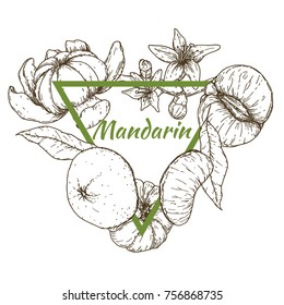 Triangle frame with mandarins in retro hand drawn, sketches, engraved style. Design elements for banner, cover, label, package, promote. Isolated on white background. Modern vector illustration.