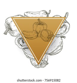 Triangle frame with paprika pepper in retro hand drawn, sketches, engraved style. Design elements for banner, cover, label, package, promote. Isolated on white background. Modern vector illustration.