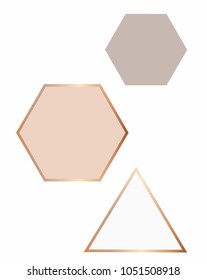 Triangle And Hexagon Vector Graphic Frame Design Geometric Shapes Rose Gol Foil Home Decor