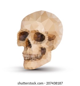 triangle human skull with shadow